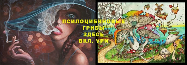трава Аркадак