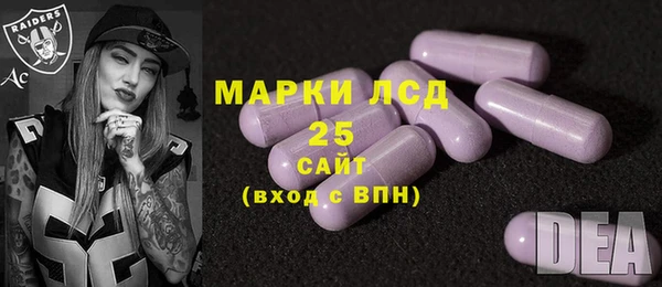 трава Аркадак