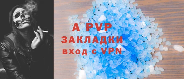 трава Аркадак