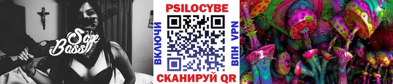 Псилоцибиновые грибы Cubensis Уржум
