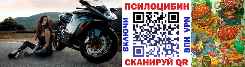 как найти закладки  площадка как зайти  Псилоцибиновые грибы ЛСД  Уржум 